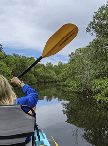 Fun Kayak Fishing in Punta Gorda 